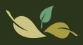 Natural Path logo