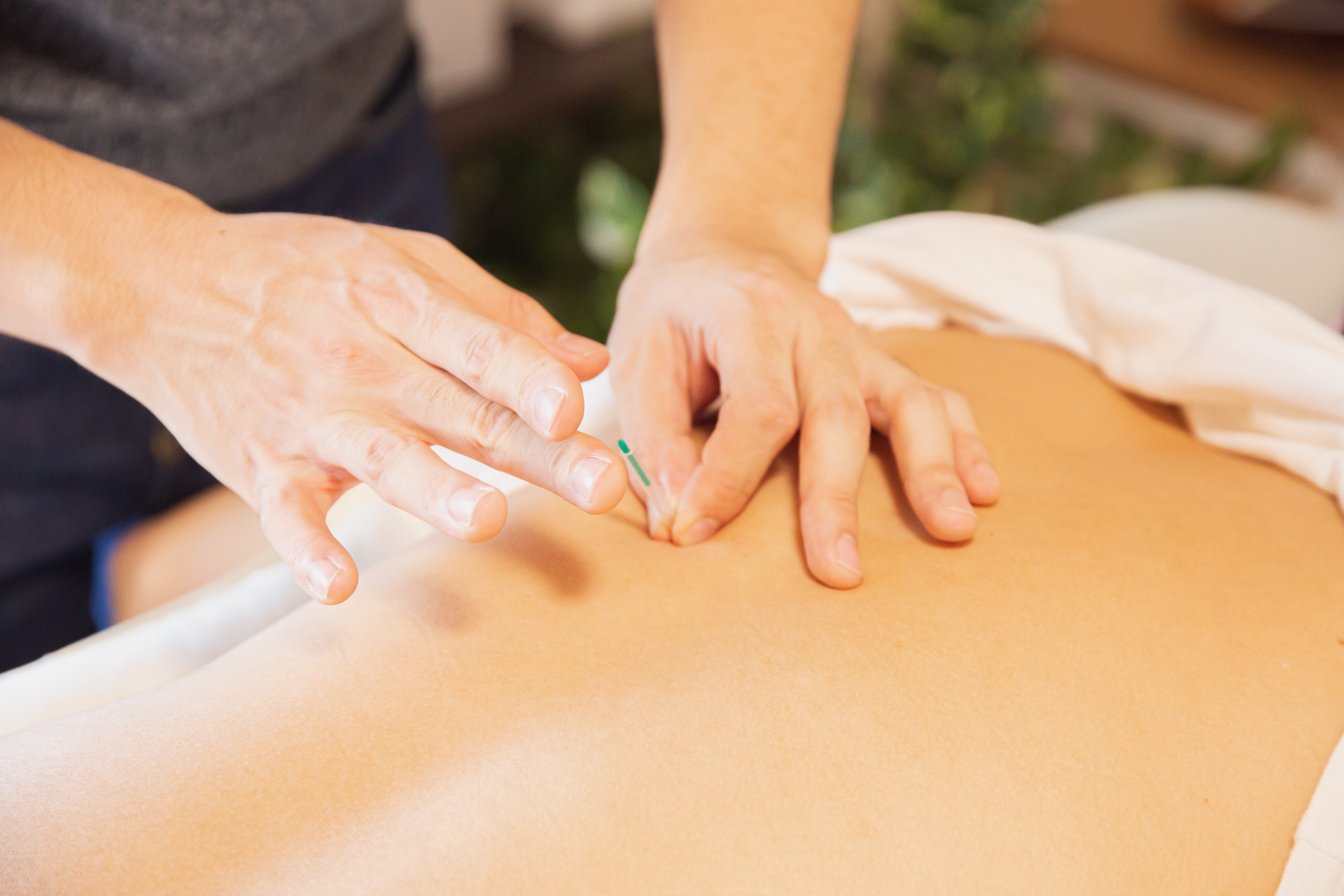 Traditional wellness product